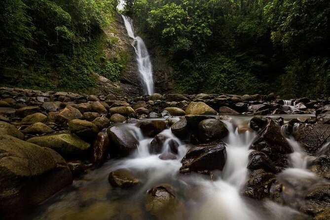 16 Lines Zipline, Cave, Hiking & Biausevu Waterfall Combo Tour - Sixteen cables above Zip Fiji Momi
