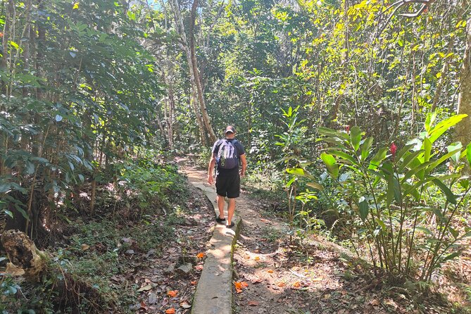 16 Lines Zipline, Cave, Hiking & Biausevu Waterfall Combo Tour - Why the guide and group size matter