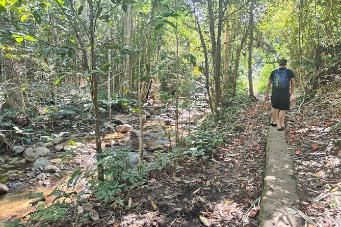 16 Lines Zipline, Cave, Hiking & Biausevu Waterfall Combo Tour - Fitness, weather, and what to pack