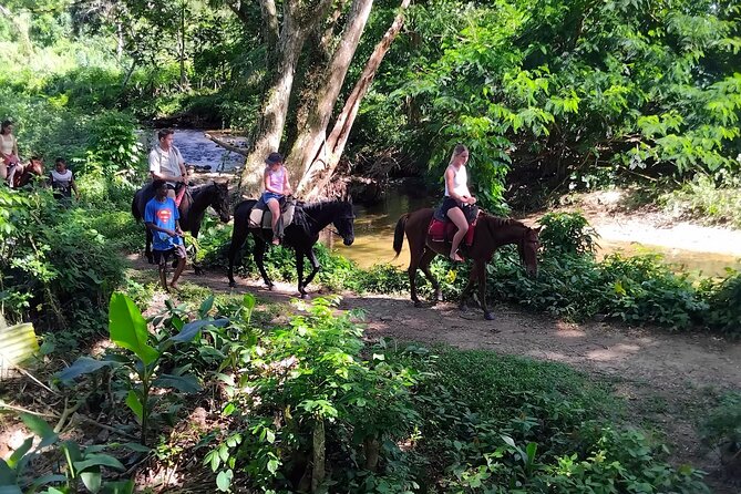 16 Lines Zipline, Cave, Hiking & Biausevu Waterfall Combo Tour - Who will enjoy this combination most