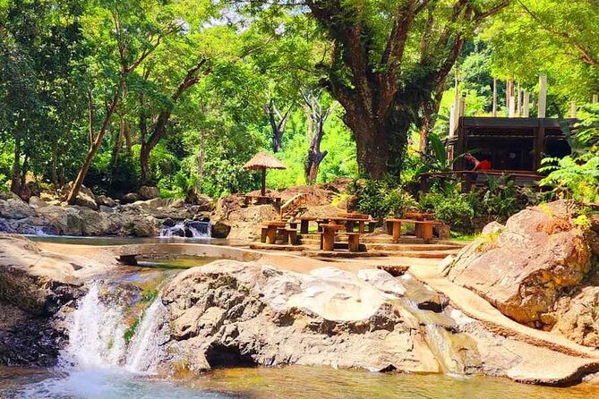6 Hours Giant Zipline Adventure Park in Fiji - The forest setting gives the day its value