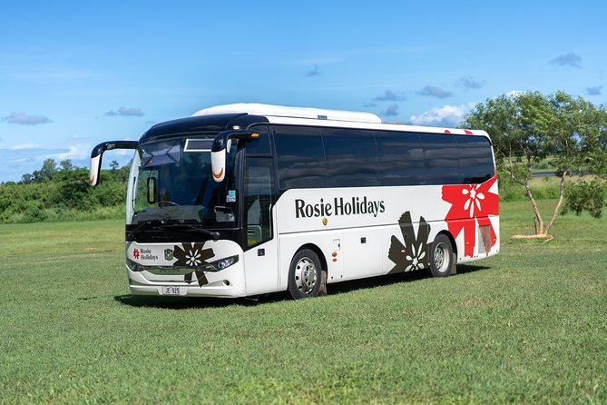 Arrival Shared Transfer : Airport to Hotel - Key points to know before you book