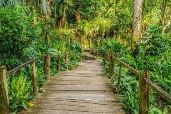 Best of Fiji Tours: 3 Days Package - Day 3: flying over Momi and exploring caves