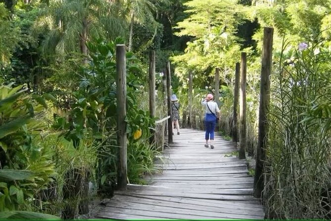 Best of Nadi Highlights - Namaka Market and the question of kava