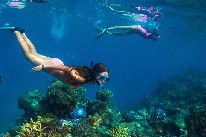 Capt Cook Cruises Super Saver Combo: Day Sail + Dinner Cruise - From your hotel to Port Denarau
