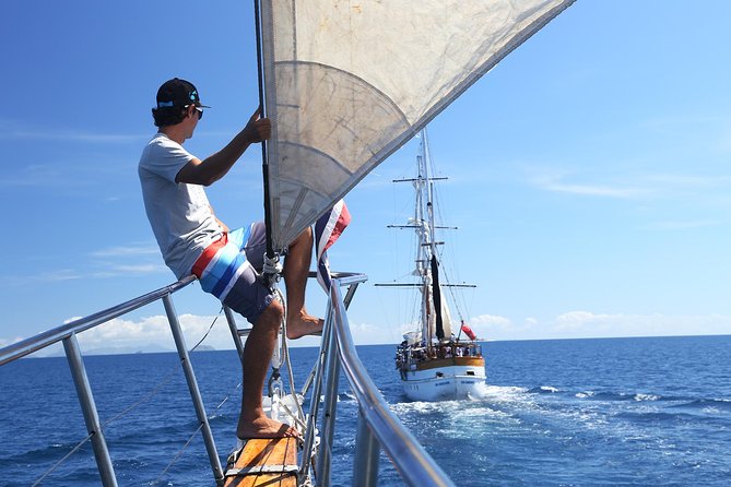 Capt Cook Cruises Super Saver Combo: Day Sail + Dinner Cruise - What the price includes, and what it does not