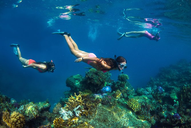 Captain Cook Cruises Fiji - Island and Reef Day Cruise - From Denarau to a private Mamanuca island