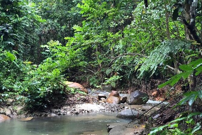 ''Coral Coast Adventure: Biausevu Waterfall & Natadola Beach !'' - What the $148.16 price really covers