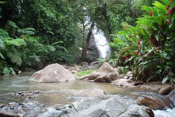 ''Coral Coast Adventure: Biausevu Waterfall & Natadola Beach !'' - Who should book this Fiji excursion