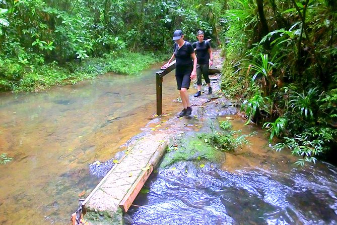Customized Suva day tour - What the guide adds to the day