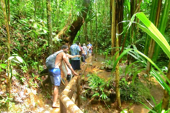 Customized Suva day tour - Cruise-port pickup needs special attention