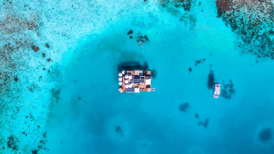 Denarau: Seventh Heaven Floating Bar Day Trip - Key points to know before you book