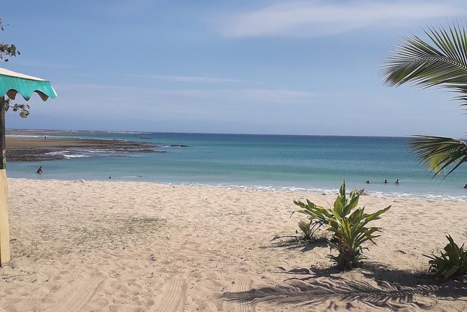 Discover Coral Coast & Natadola Beach Tour - What the kava ceremony means for your visit