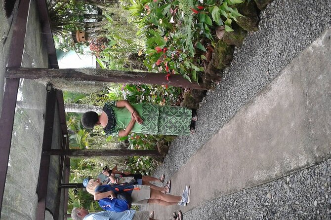 Discover Fiji Best Sights Tour from Lautoka wharf Cruise Ships - The mud pool and hot springs decision
