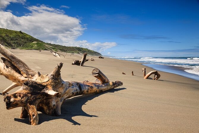 "Discover Fiji's Hidden Gems: Eco Park, Pottery Village & Dunes!" - Walking the Sigatoka Sand Dunes