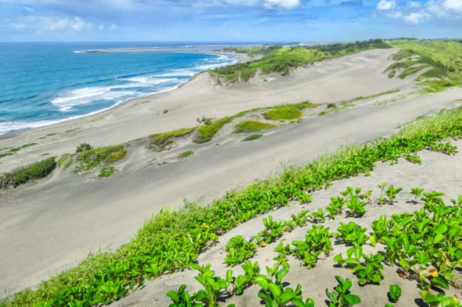 Discover Fijian Culture and Reptiles - Walking the Sigatoka Sand Dunes