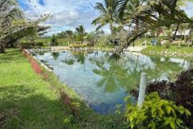 Discover Mud pool/Hot -Spring Nadi - The hot pools and the slippery bits