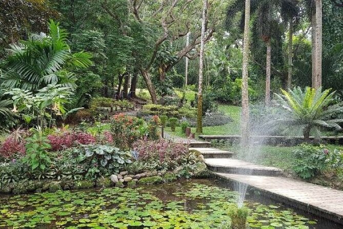 Discover Mud pool/Hot -Spring Nadi - The optional massage is a smart add-on