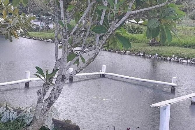 Discover Mud pool/Hot -Spring Nadi - What the price delivers