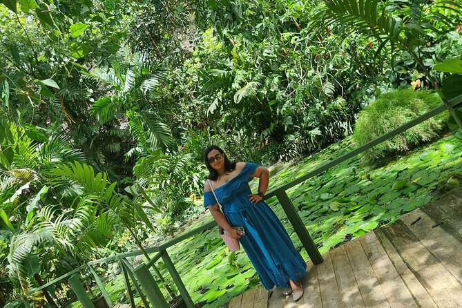 Discover Nadi Fiji Private Tour (All Fees Included) - A useful introduction to Nadi beyond the resorts