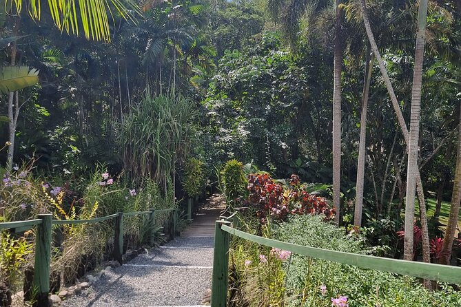 Discover Nadi Fiji Private Tour (All Fees Included) - Garden of the Sleeping Giant and its 45-minute stroll