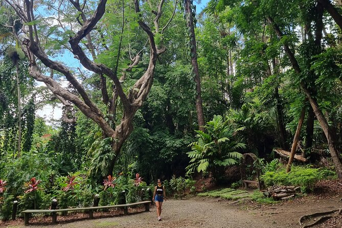 Discover Nadi Fiji Private Tour (All Fees Included) - Vuda Point village: a short look at everyday Fiji