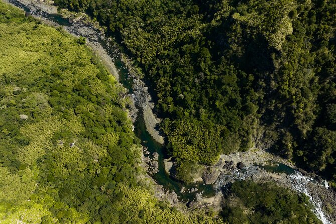 Fiji 2 Night Hiking Adventure and Cultural Experience - Day three: A shorter forest walk with a playful finish