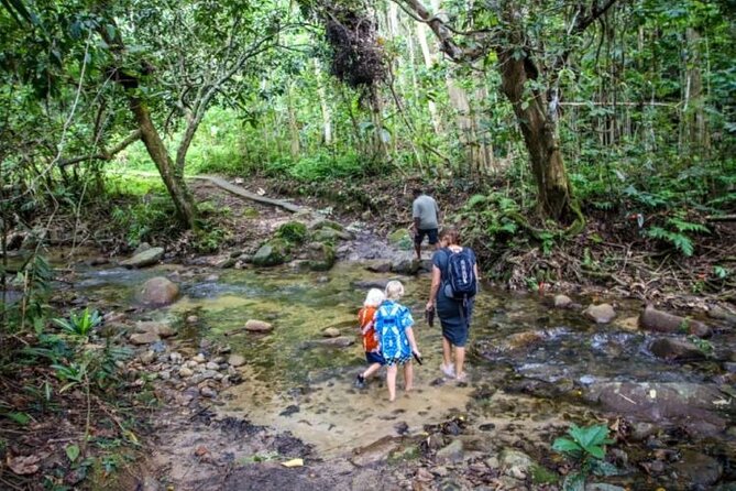 Fiji Adventure: Biausevu Waterfall & Dunes hiking Combo Tour! - Who should book this Fiji combo tour