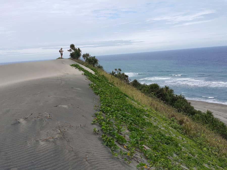 Fiji: Biausevu Waterfall and Sigatoka Sand Dunes Tour - Why this Fiji day trip works
