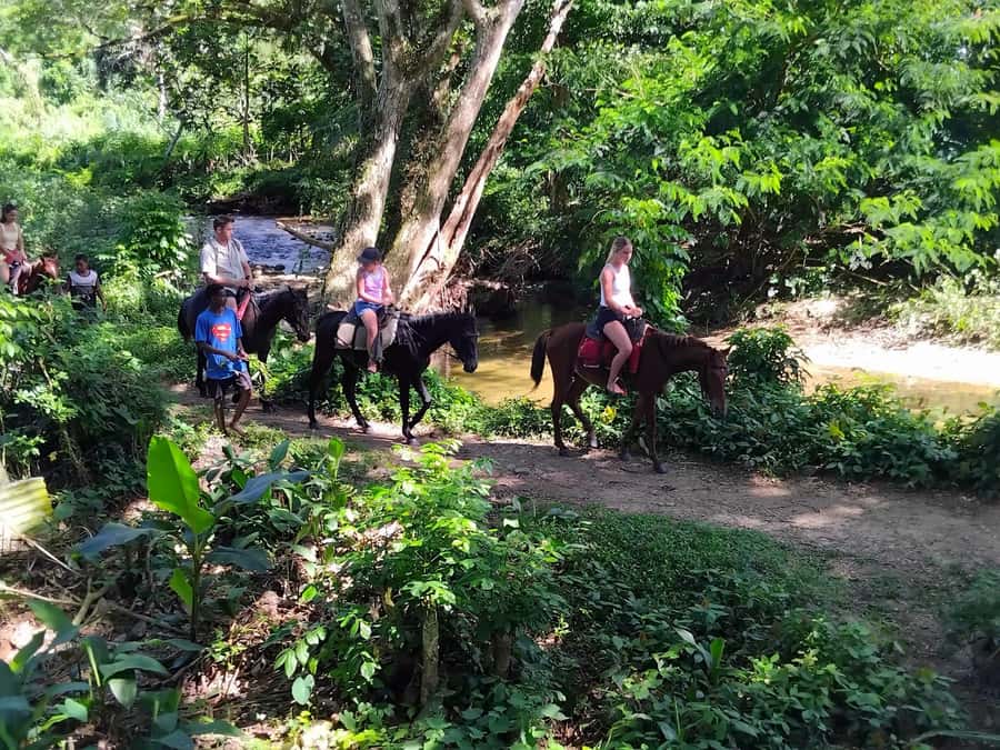 Fiji Biausevu waterfall & Village Tour - A village visit with a kava ceremony