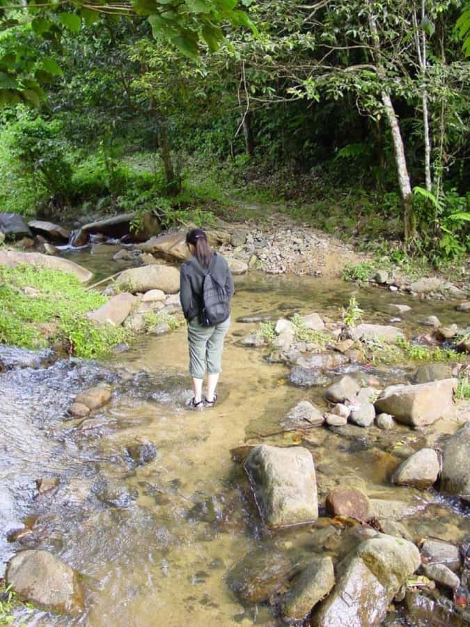 Fiji Biausevu waterfall & Village Tour - Optional horseback riding through Biausevu