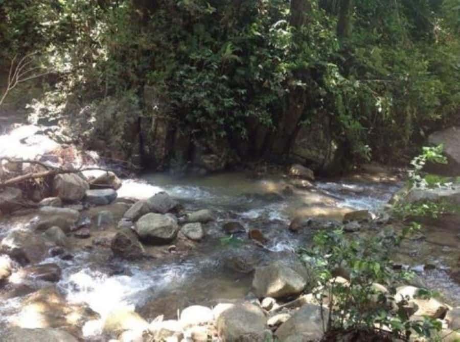 Fiji Biausevu waterfall & Village Tour - Lunch at Baravi Handicrafts and Cafe