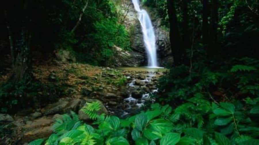 Fiji Biausevu waterfall & Village Tour - What $119 buys you