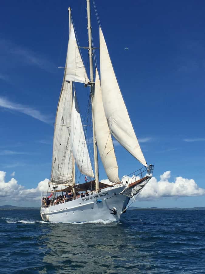 Fiji: Captain Cook Cruises - Island & Reef Day Trip - Reef time with a marine biologist