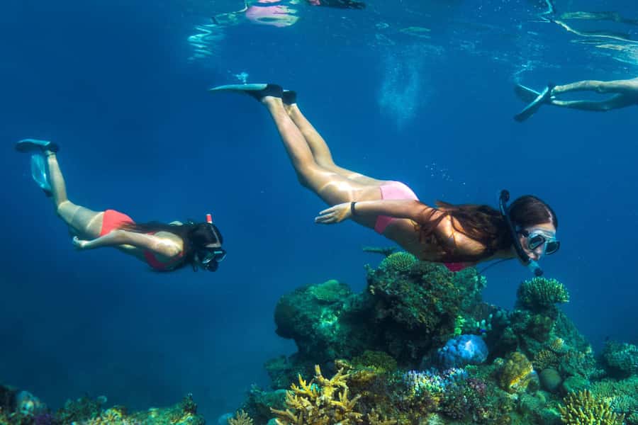 Fiji: Captain Cook Cruises - Island & Reef Day Trip - How the $126 price compares with the day