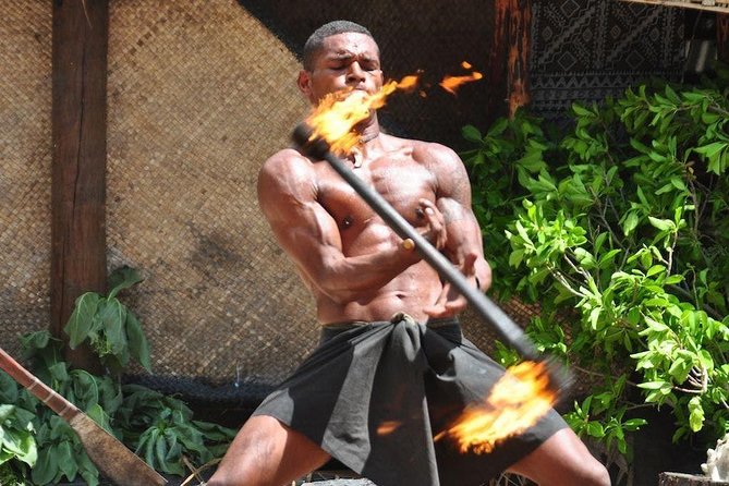 Fiji Cultural Full Day Island Cruise With Lunch & Transfers - A Welcome of Juice, Coconut, and Island Introductions