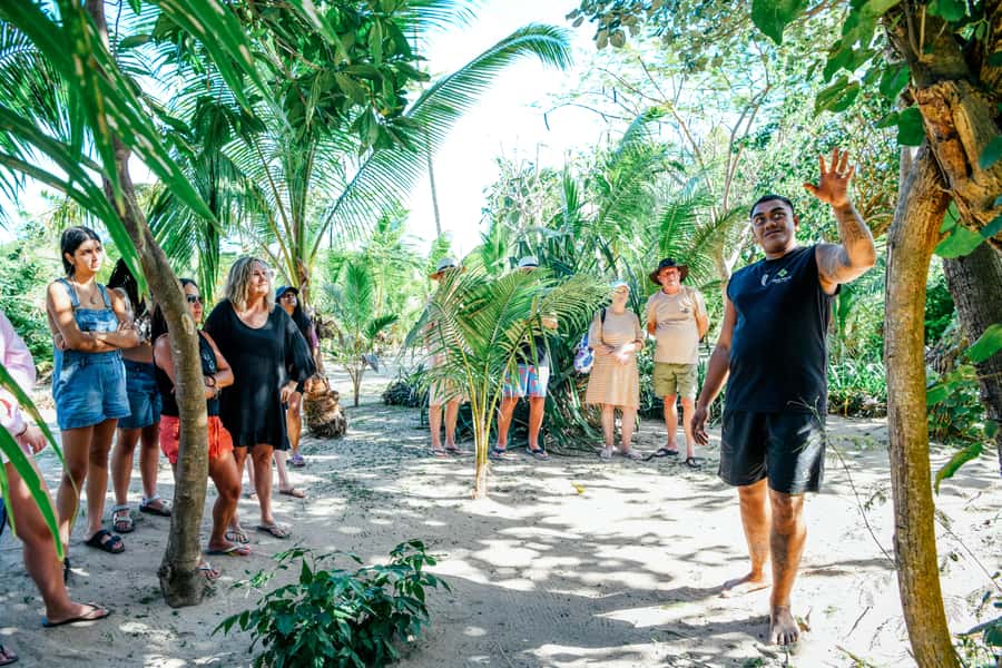 Fiji: Day and Night Combo Tour - Sunset, bonfire, and the lovo earth oven