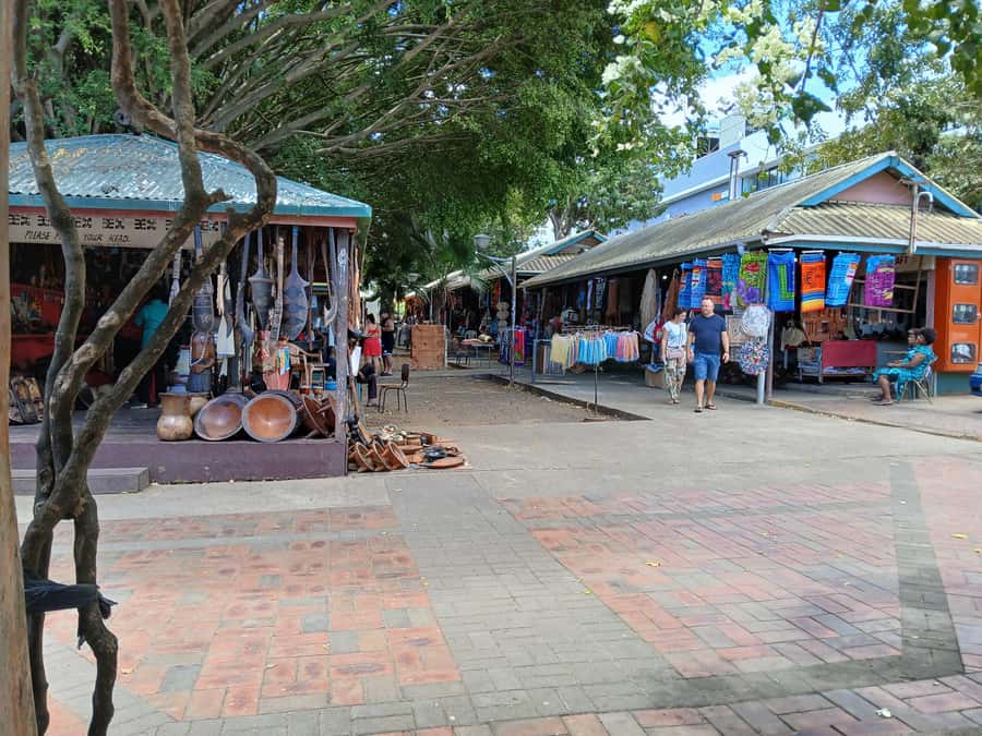 Fiji: Discover Nadi with Sabeto Hotspring and Mudpool Tour - Namaka Mini Market and the everyday side of Nadi