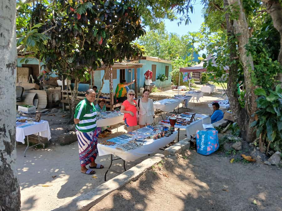 Fiji: Discover Nadi with Sabeto Hotspring and Mudpool Tour - Sabeto Tifajek: the main event