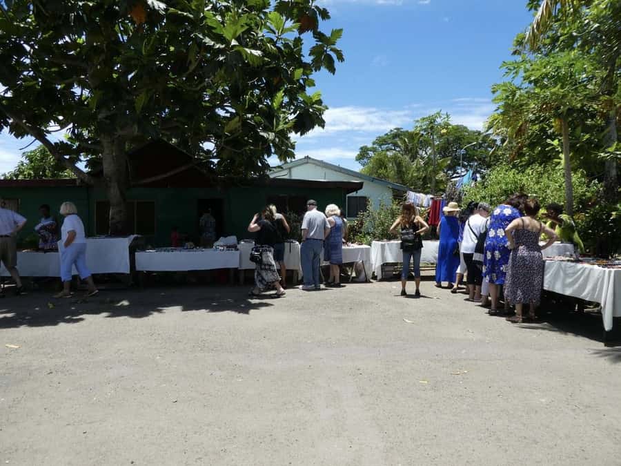 Fiji: Discover Nadi with Sabeto Hotspring and Mudpool Tour - What the $91 price really covers