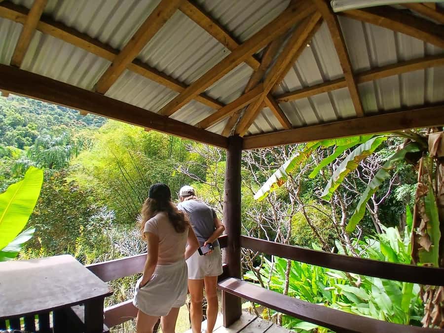 FIJI: Garden of the Sleeping Giant - Why Raymond Burr’s orchid garden is worth your time