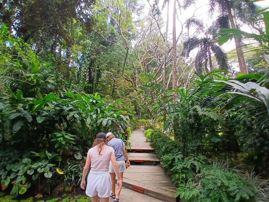 FIJI: Garden of the Sleeping Giant - Should you book this Fiji garden tour?