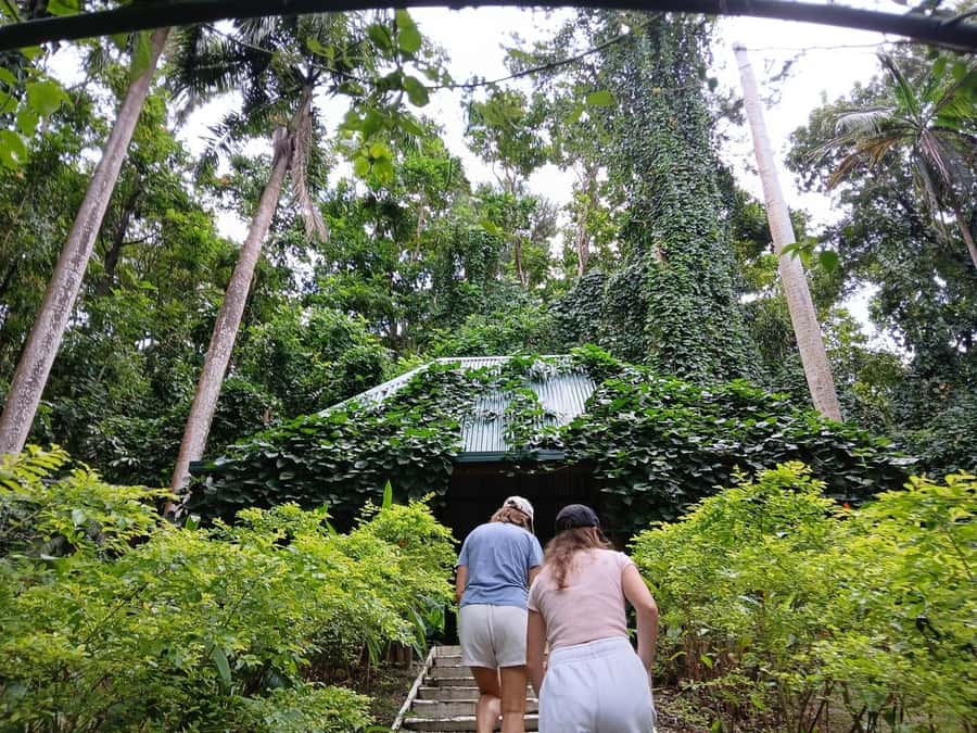 FIJI: Garden of the Sleeping Giant - The drive through Sabeto Valley sets the mood