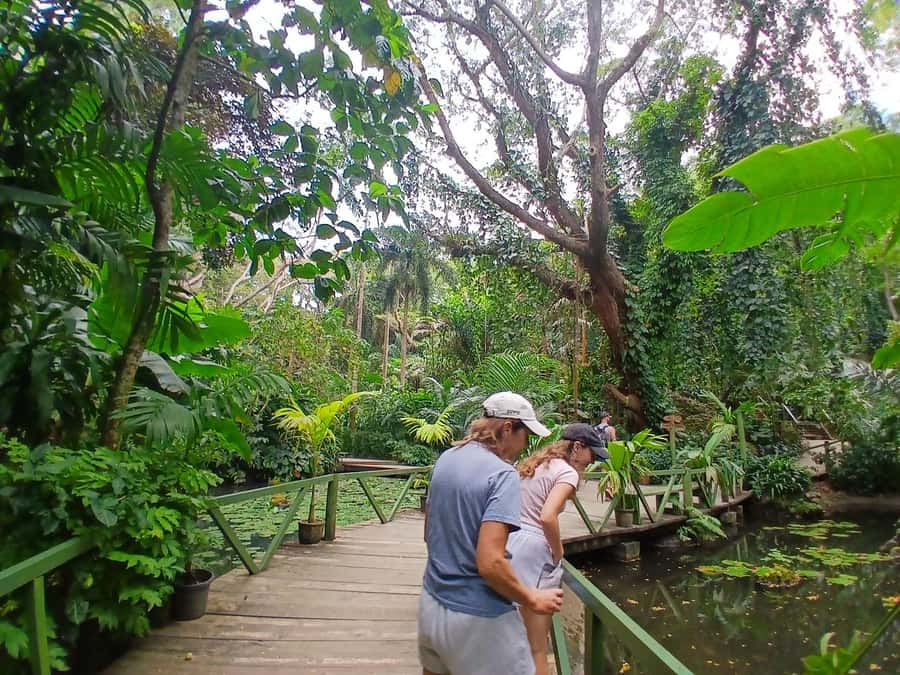 FIJI: Garden of the Sleeping Giant - The uphill route to the lookout