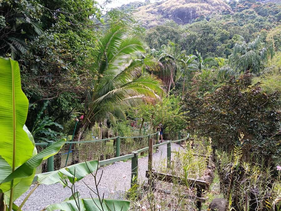 FIJI: Garden of the Sleeping Giant - What to bring for a safer, better walk