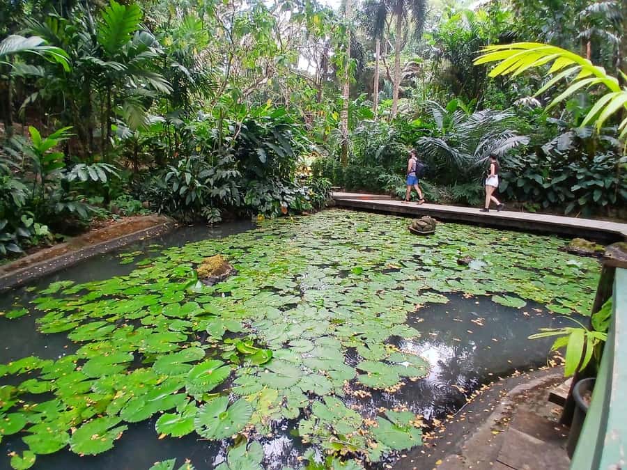 FIJI: Garden of the Sleeping Giant - Who will enjoy the Garden of the Sleeping Giant?