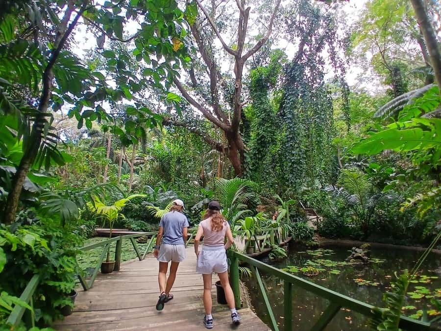 FIJI: Garden of the Sleeping Giant - Entering the grounds and finding the orchid collection