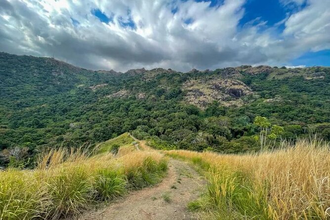 Fiji Lautoka Shore Excursions Tour - A practical four-hour introduction to Lautoka