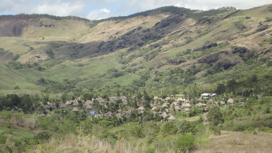 Fiji: Navala Village Cultural Tour & Traditional Lunch - Lunch made from village food