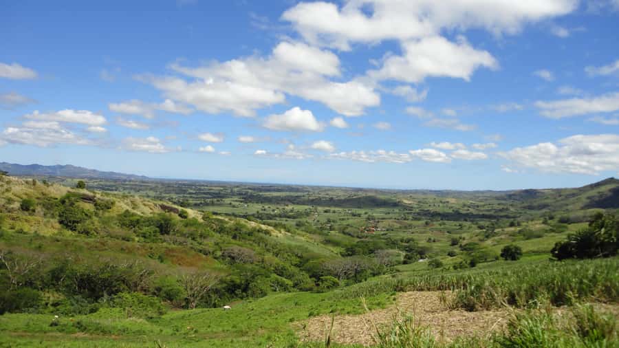 Fiji: Navala Village Cultural Tour & Traditional Lunch - Who should book this day out?
